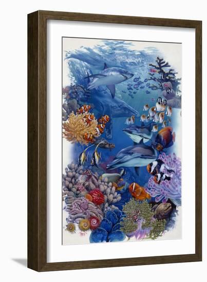 Reef-Tim Knepp-Framed Giclee Print