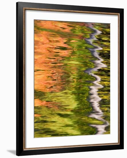 Refections of Fall Foliage and Birch Trees in Pond, Acadia National Park, Maine, USA-Joanne Wells-Framed Photographic Print