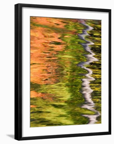 Refections of Fall Foliage and Birch Trees in Pond, Acadia National Park, Maine, USA-Joanne Wells-Framed Photographic Print