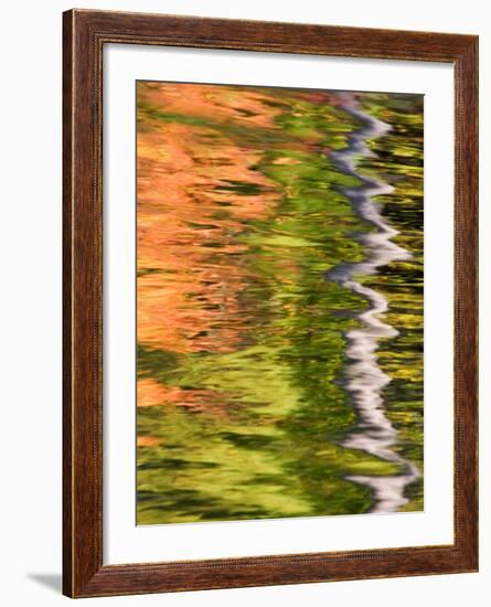 Refections of Fall Foliage and Birch Trees in Pond, Acadia National Park, Maine, USA-Joanne Wells-Framed Photographic Print