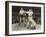 Referee Counting over Boxer in Ring-null-Framed Photo