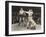 Referee Counting over Boxer in Ring-null-Framed Photo