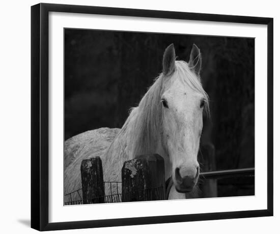 Refined Reflection-Laura Warren-Framed Giclee Print