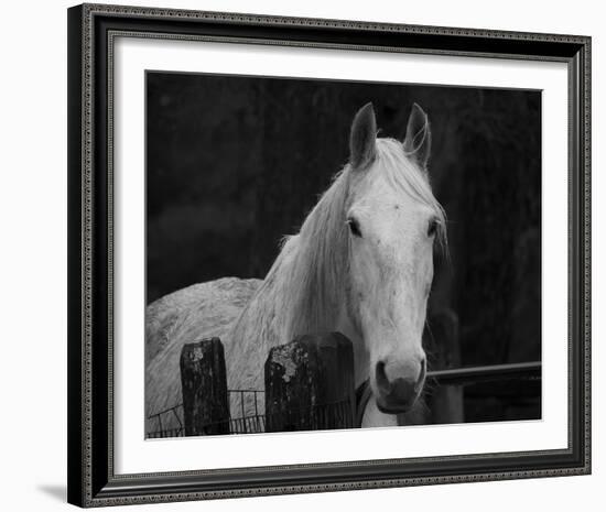 Refined Reflection-Laura Warren-Framed Giclee Print