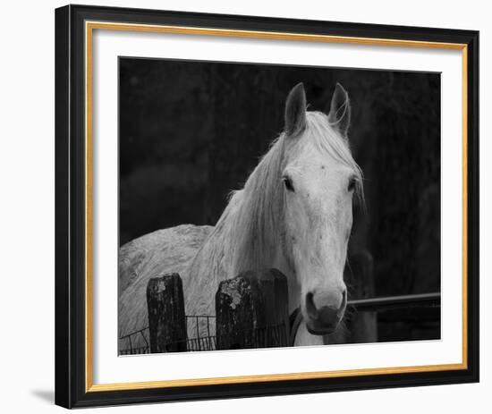 Refined Reflection-Laura Warren-Framed Giclee Print