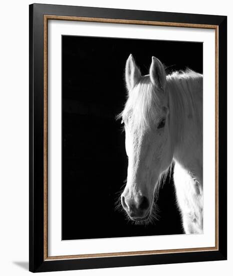 Refined Reverie-Laura Warren-Framed Giclee Print