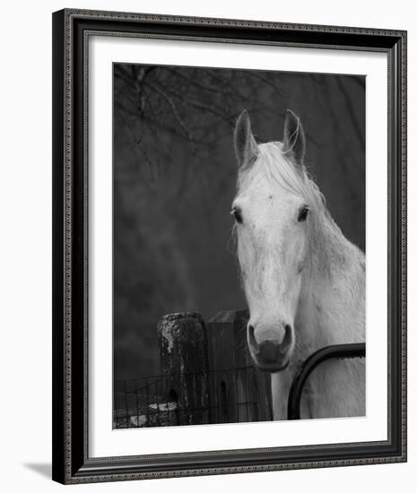 Refined Rumination-Laura Warren-Framed Giclee Print