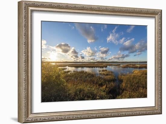 Reflected Clouds-Mike Toy-Framed Giclee Print