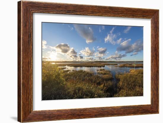 Reflected Clouds-Mike Toy-Framed Giclee Print