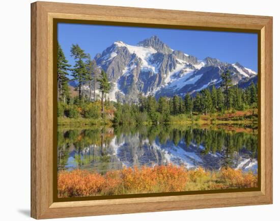 Reflected in Picture Lake, Mt. Shuksan, Heather Meadows Recreation Area, Washington, Usa-Jamie & Judy Wild-Framed Premier Image Canvas