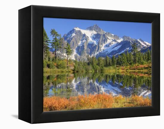 Reflected in Picture Lake, Mt. Shuksan, Heather Meadows Recreation Area, Washington, Usa-Jamie & Judy Wild-Framed Premier Image Canvas