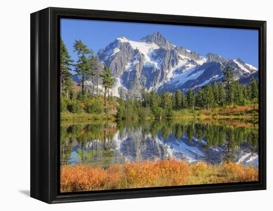 Reflected in Picture Lake, Mt. Shuksan, Heather Meadows Recreation Area, Washington, Usa-Jamie & Judy Wild-Framed Premier Image Canvas