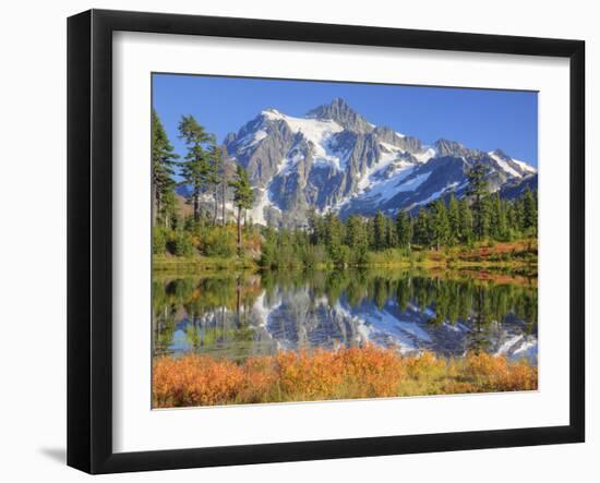 Reflected in Picture Lake, Mt. Shuksan, Heather Meadows Recreation Area, Washington, Usa-Jamie & Judy Wild-Framed Photographic Print