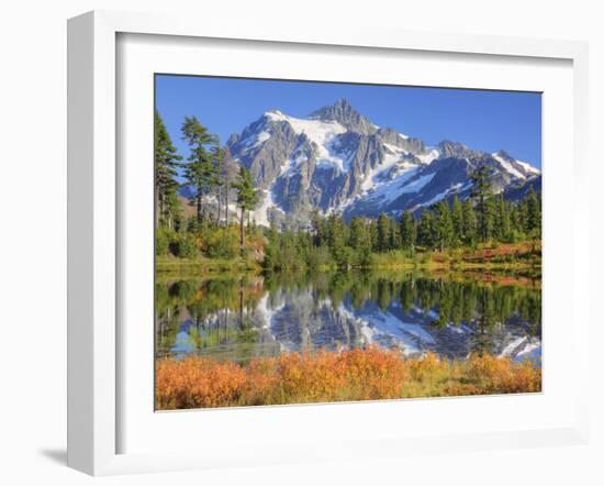 Reflected in Picture Lake, Mt. Shuksan, Heather Meadows Recreation Area, Washington, Usa-Jamie & Judy Wild-Framed Photographic Print