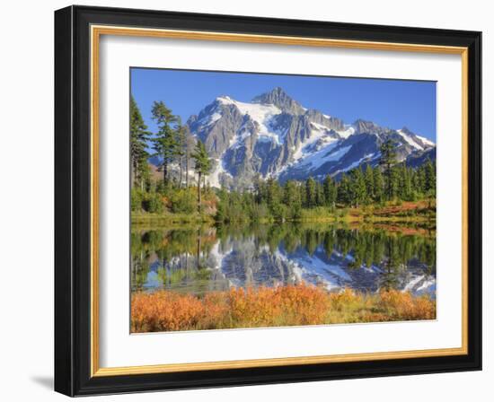 Reflected in Picture Lake, Mt. Shuksan, Heather Meadows Recreation Area, Washington, Usa-Jamie & Judy Wild-Framed Photographic Print