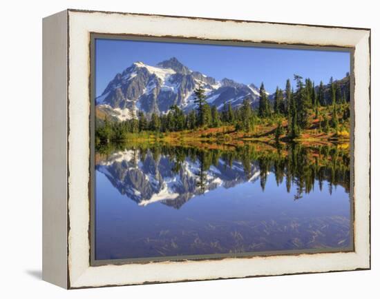 Reflected in Picture Lake, Mt. Shuksan, Heather Meadows Recreation Area, Washington, Usa-Jamie & Judy Wild-Framed Premier Image Canvas