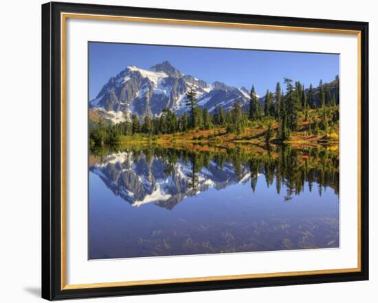 Reflected in Picture Lake, Mt. Shuksan, Heather Meadows Recreation Area, Washington, Usa-Jamie & Judy Wild-Framed Photographic Print