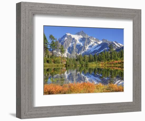 Reflected in Picture Lake, Mt. Shuksan, Heather Meadows Recreation Area, Washington, Usa-Jamie & Judy Wild-Framed Photographic Print