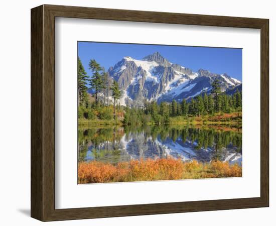 Reflected in Picture Lake, Mt. Shuksan, Heather Meadows Recreation Area, Washington, Usa-Jamie & Judy Wild-Framed Photographic Print