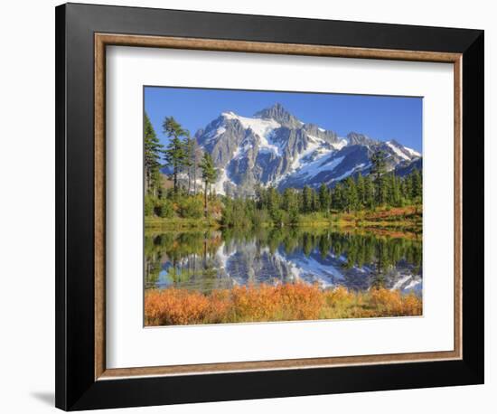 Reflected in Picture Lake, Mt. Shuksan, Heather Meadows Recreation Area, Washington, Usa-Jamie & Judy Wild-Framed Photographic Print