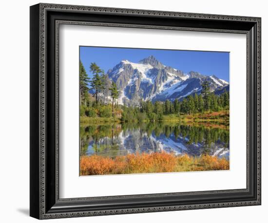 Reflected in Picture Lake, Mt. Shuksan, Heather Meadows Recreation Area, Washington, Usa-Jamie & Judy Wild-Framed Photographic Print