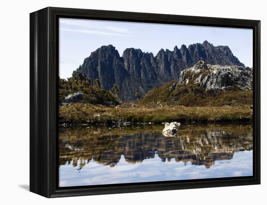 Reflected in Tarn on 'Cradle Mountain - Lake St Clair National Park', Tasmania, Australia-Christian Kober-Framed Premier Image Canvas