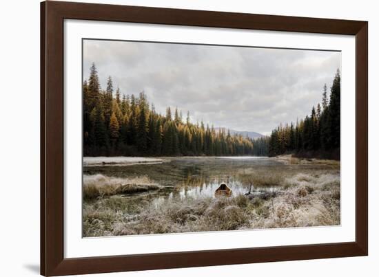 Reflecting Nature-Andrew Geiger-Framed Giclee Print