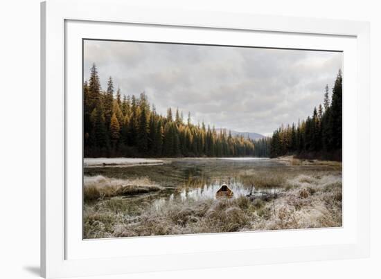 Reflecting Nature-Andrew Geiger-Framed Giclee Print