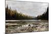 Reflecting Nature-Andrew Geiger-Mounted Giclee Print