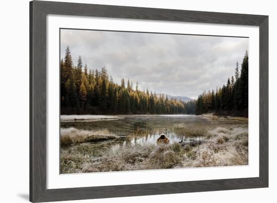 Reflecting Nature-Andrew Geiger-Framed Giclee Print