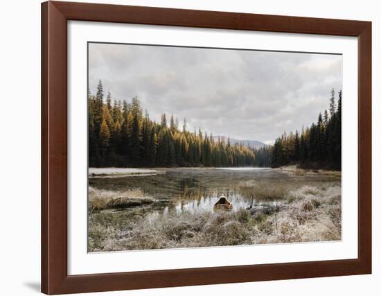 Reflecting Nature-Andrew Geiger-Framed Art Print