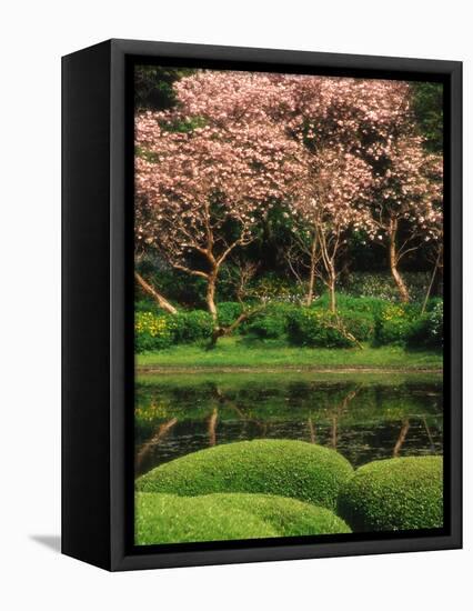 Reflecting Pond, Imperial Palace East Gardens, Tokyo, Japan-Nancy & Steve Ross-Framed Premier Image Canvas