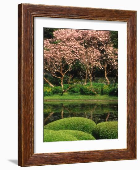 Reflecting Pond, Imperial Palace East Gardens, Tokyo, Japan-Nancy & Steve Ross-Framed Photographic Print