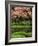 Reflecting Pond, Imperial Palace East Gardens, Tokyo, Japan-Nancy & Steve Ross-Framed Photographic Print