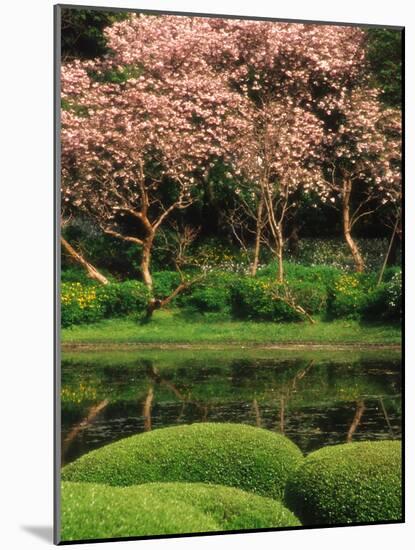 Reflecting Pond, Imperial Palace East Gardens, Tokyo, Japan-Nancy & Steve Ross-Mounted Photographic Print