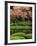 Reflecting Pond, Imperial Palace East Gardens, Tokyo, Japan-Nancy & Steve Ross-Framed Photographic Print