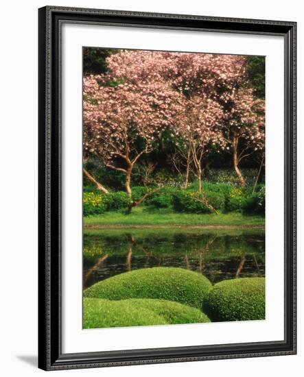 Reflecting Pond, Imperial Palace East Gardens, Tokyo, Japan-Nancy & Steve Ross-Framed Photographic Print