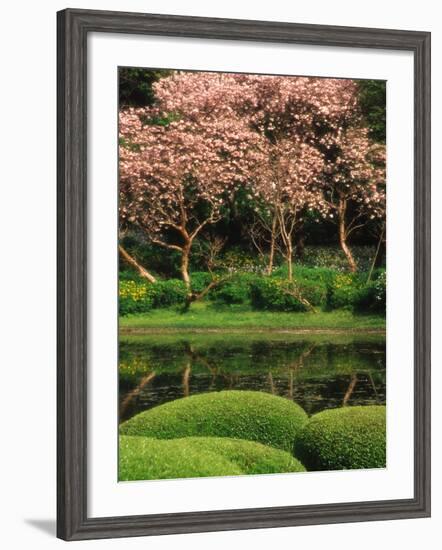 Reflecting Pond, Imperial Palace East Gardens, Tokyo, Japan-Nancy & Steve Ross-Framed Photographic Print