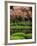 Reflecting Pond, Imperial Palace East Gardens, Tokyo, Japan-Nancy & Steve Ross-Framed Photographic Print