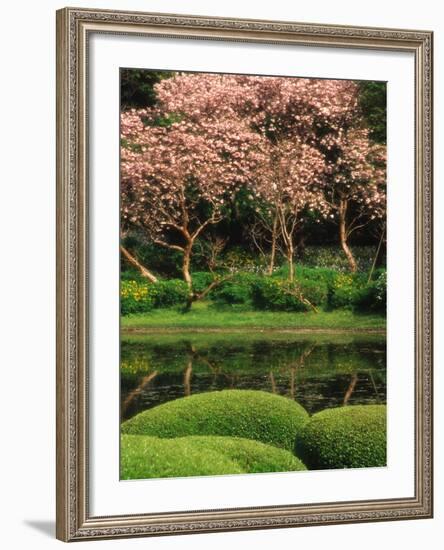 Reflecting Pond, Imperial Palace East Gardens, Tokyo, Japan-Nancy & Steve Ross-Framed Photographic Print