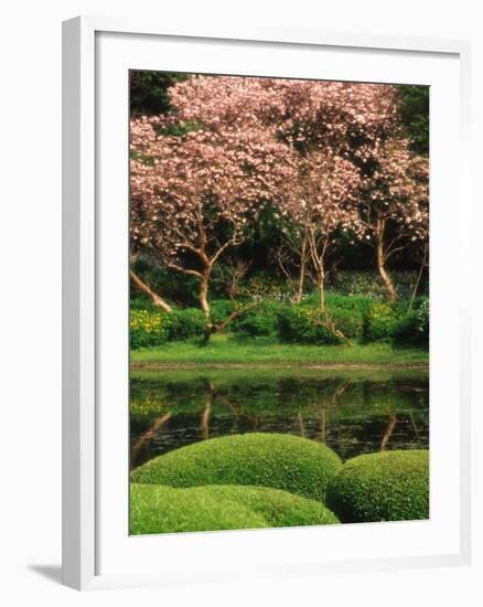Reflecting Pond, Imperial Palace East Gardens, Tokyo, Japan-Nancy & Steve Ross-Framed Photographic Print