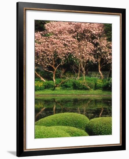 Reflecting Pond, Imperial Palace East Gardens, Tokyo, Japan-Nancy & Steve Ross-Framed Photographic Print