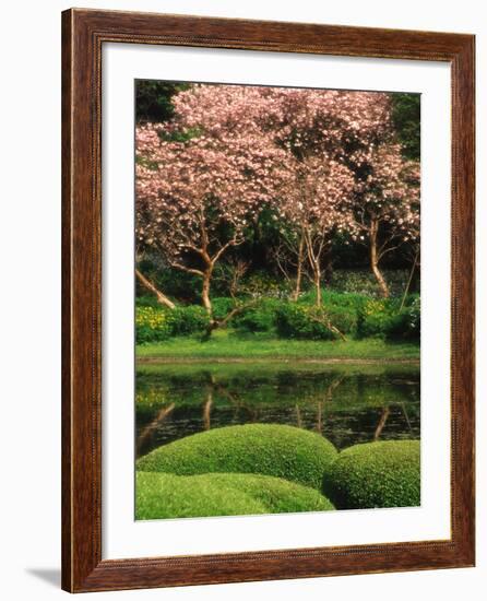 Reflecting Pond, Imperial Palace East Gardens, Tokyo, Japan-Nancy & Steve Ross-Framed Photographic Print