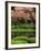 Reflecting Pond, Imperial Palace East Gardens, Tokyo, Japan-Nancy & Steve Ross-Framed Photographic Print