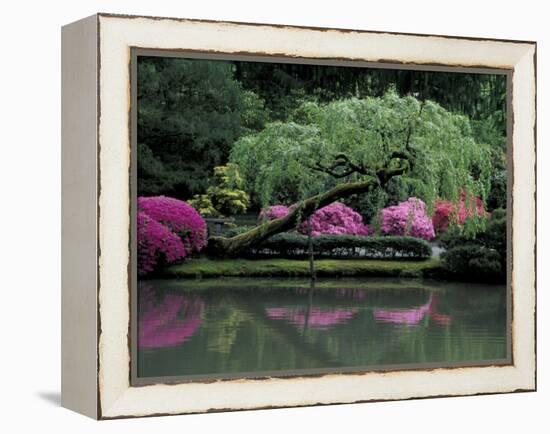 Reflecting pool and Rhododendrons in Japanese Garden, Seattle, Washington, USA-Jamie & Judy Wild-Framed Premier Image Canvas