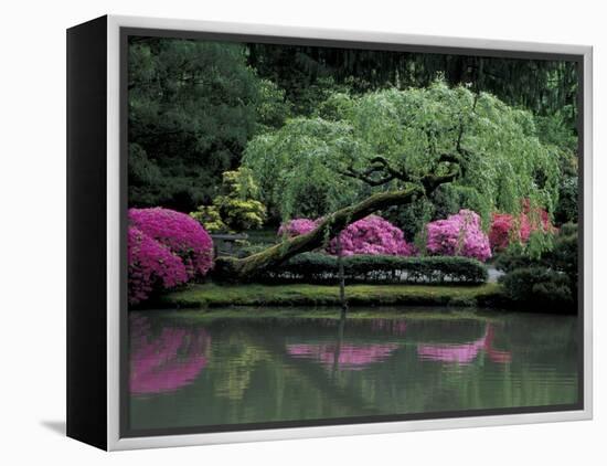 Reflecting pool and Rhododendrons in Japanese Garden, Seattle, Washington, USA-Jamie & Judy Wild-Framed Premier Image Canvas