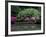 Reflecting pool and Rhododendrons in Japanese Garden, Seattle, Washington, USA-Jamie & Judy Wild-Framed Photographic Print