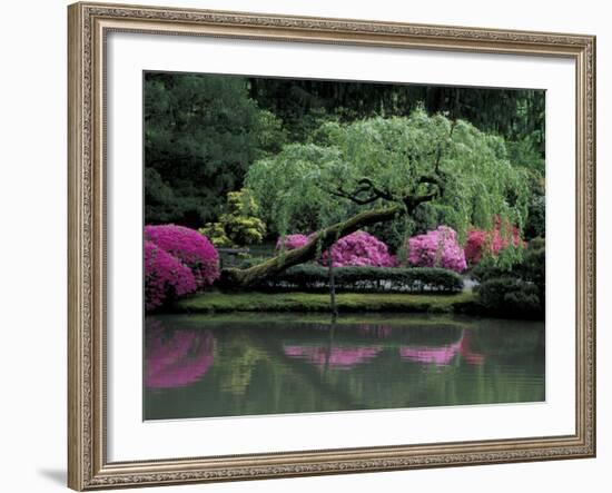 Reflecting pool and Rhododendrons in Japanese Garden, Seattle, Washington, USA-Jamie & Judy Wild-Framed Photographic Print