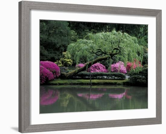 Reflecting pool and Rhododendrons in Japanese Garden, Seattle, Washington, USA-Jamie & Judy Wild-Framed Photographic Print