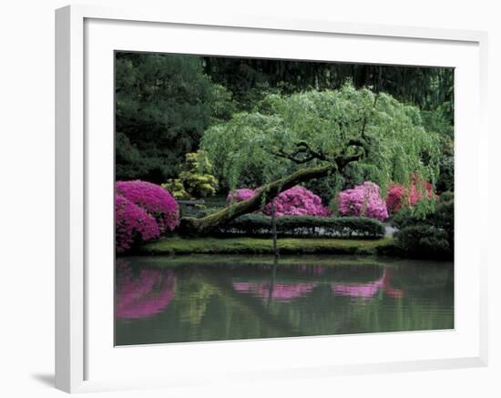 Reflecting pool and Rhododendrons in Japanese Garden, Seattle, Washington, USA-Jamie & Judy Wild-Framed Photographic Print